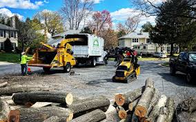 Best Lawn Renovation and Restoration  in Arta, CA